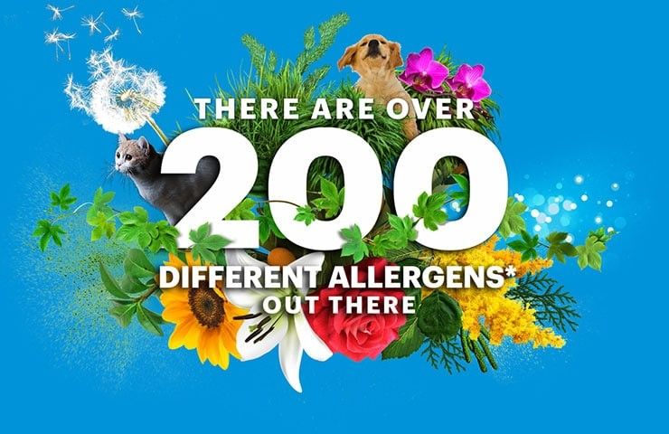 a flower bouqet with, "there are over 200 different allergens out there," superimposed on top